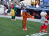 Reading Phillies